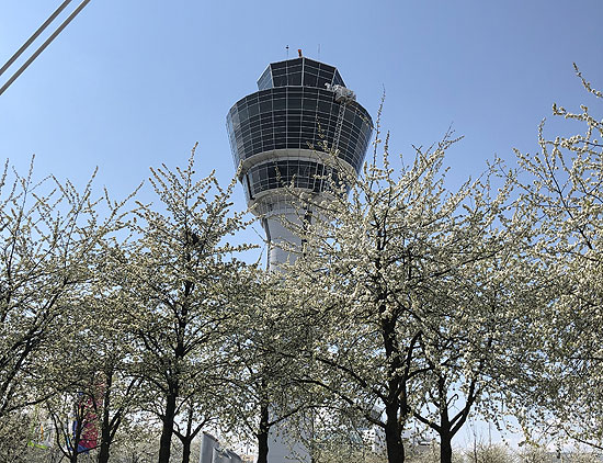 Blüten am Münchner Flughafen (Foto: Martin Schmitz)